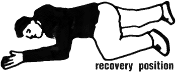 Recovery.gif (5099 bytes)